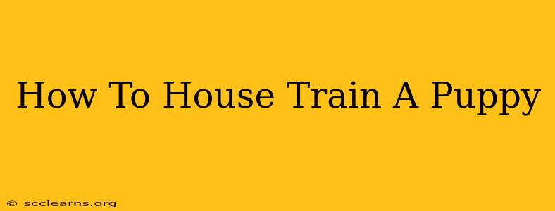 How To House Train A Puppy