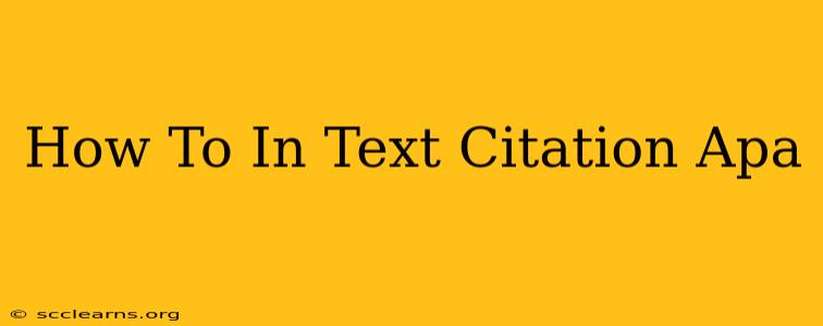 How To In Text Citation Apa