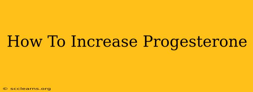 How To Increase Progesterone