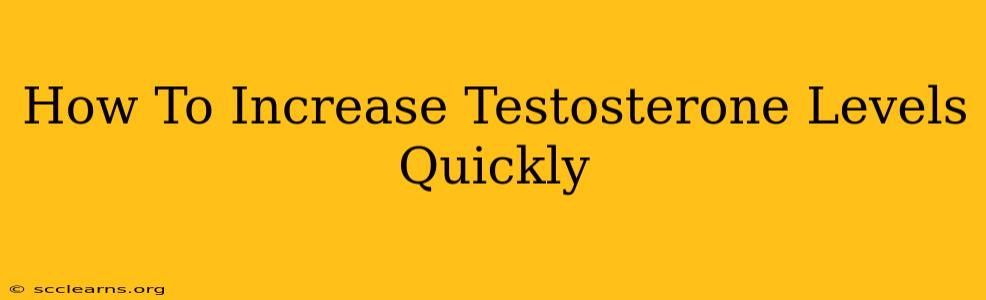 How To Increase Testosterone Levels Quickly