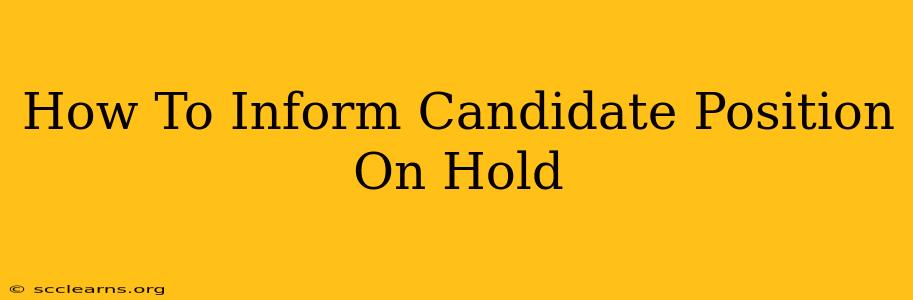 How To Inform Candidate Position On Hold