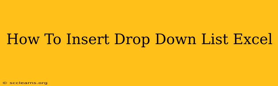 How To Insert Drop Down List Excel