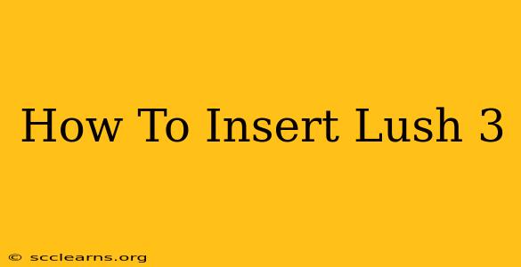 How To Insert Lush 3