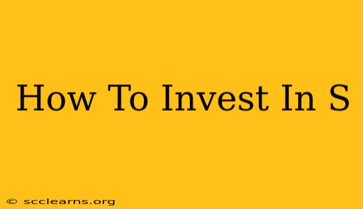 How To Invest In S