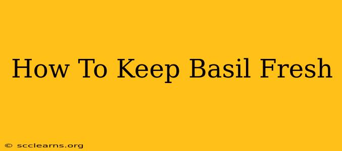 How To Keep Basil Fresh