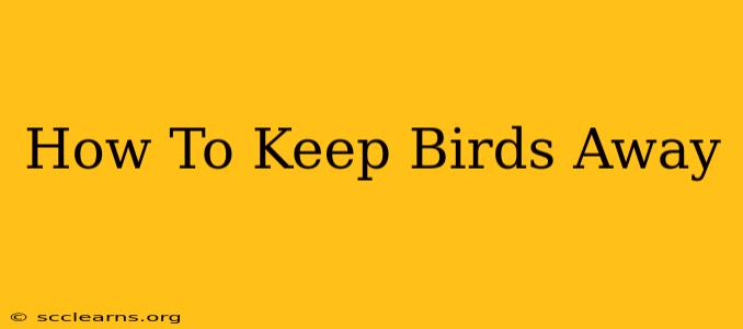 How To Keep Birds Away