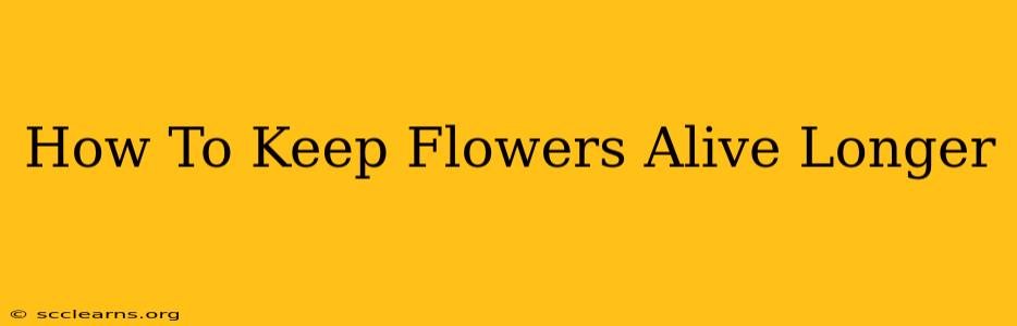 How To Keep Flowers Alive Longer