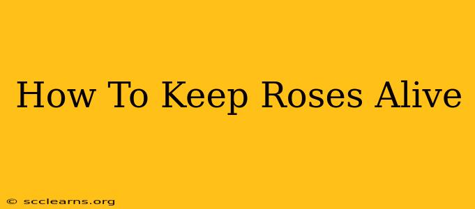 How To Keep Roses Alive