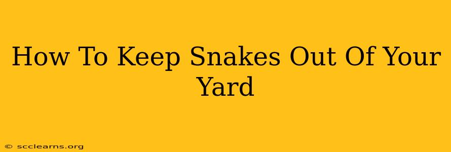 How To Keep Snakes Out Of Your Yard