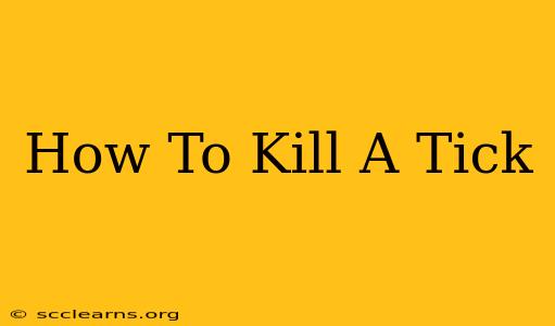 How To Kill A Tick