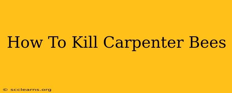 How To Kill Carpenter Bees