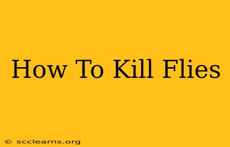 How To Kill Flies