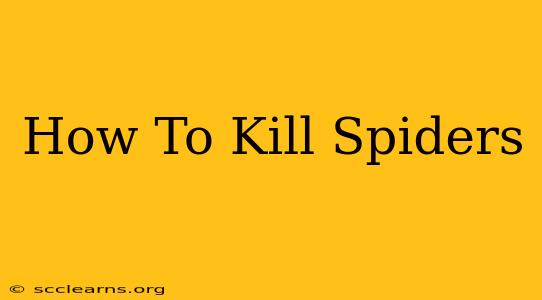 How To Kill Spiders