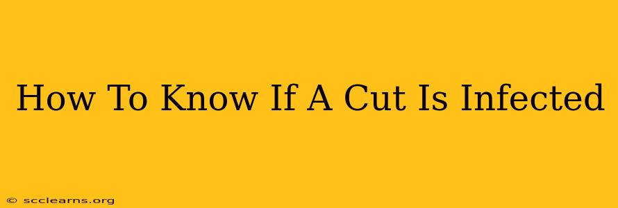 How To Know If A Cut Is Infected