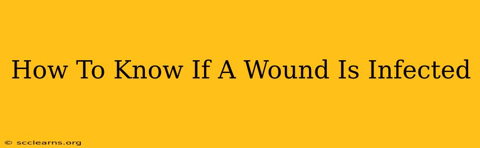 How To Know If A Wound Is Infected