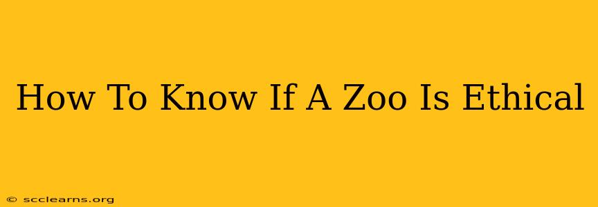 How To Know If A Zoo Is Ethical