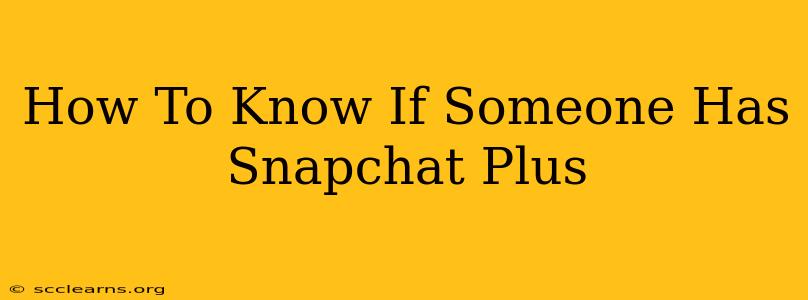 How To Know If Someone Has Snapchat Plus