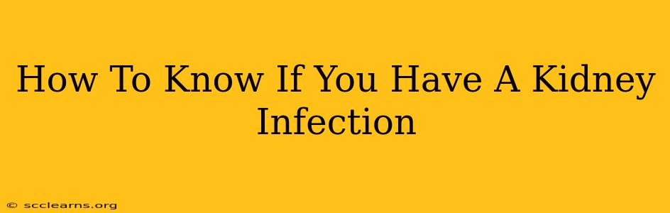 How To Know If You Have A Kidney Infection