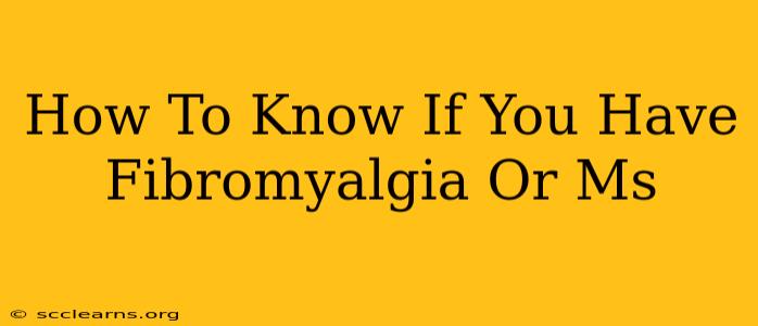 How To Know If You Have Fibromyalgia Or Ms