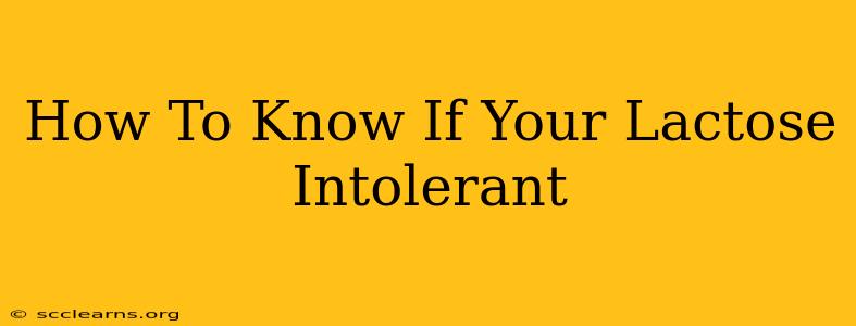 How To Know If Your Lactose Intolerant