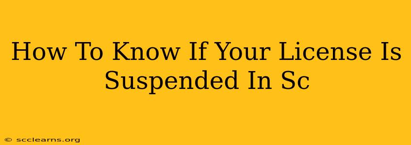 How To Know If Your License Is Suspended In Sc