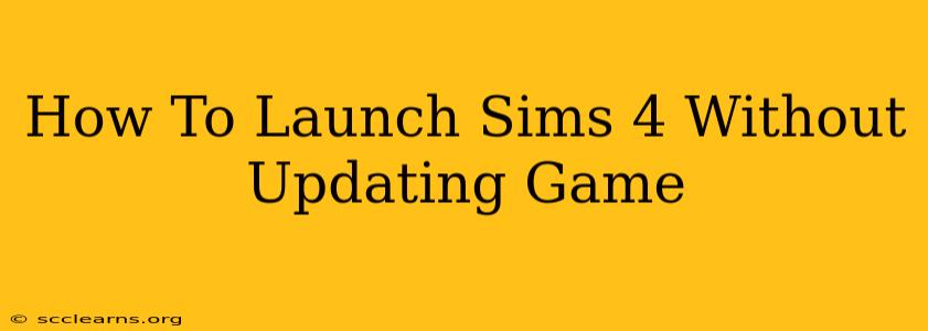 How To Launch Sims 4 Without Updating Game