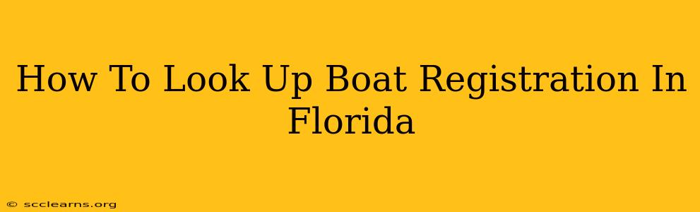 How To Look Up Boat Registration In Florida