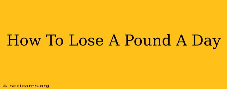 How To Lose A Pound A Day