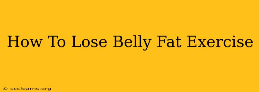 How To Lose Belly Fat Exercise