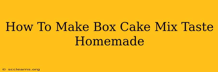 How To Make Box Cake Mix Taste Homemade