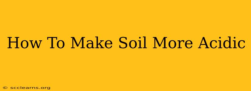 How To Make Soil More Acidic