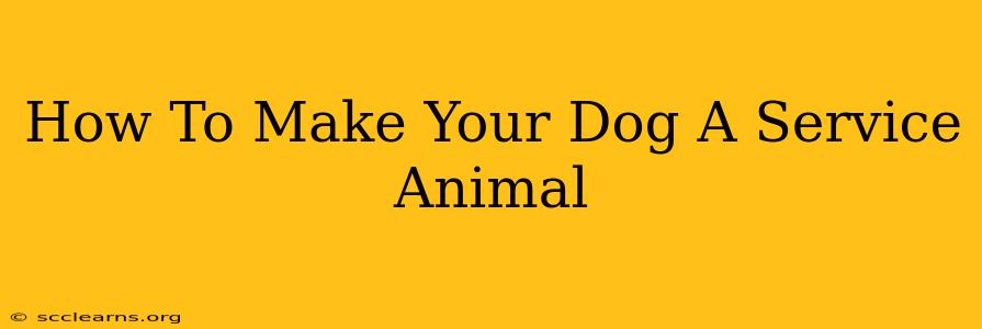 How To Make Your Dog A Service Animal