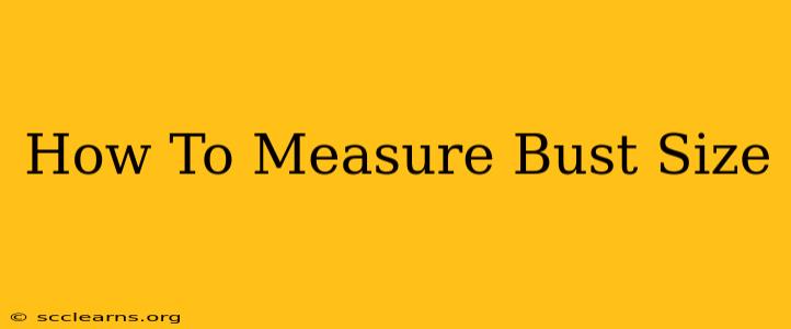 How To Measure Bust Size