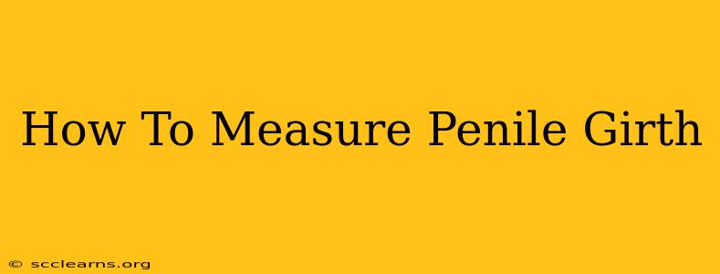 How To Measure Penile Girth