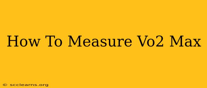 How To Measure Vo2 Max