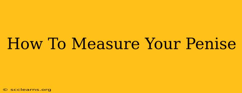 How To Measure Your Penise