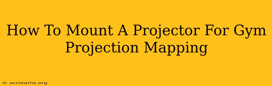 How To Mount A Projector For Gym Projection Mapping