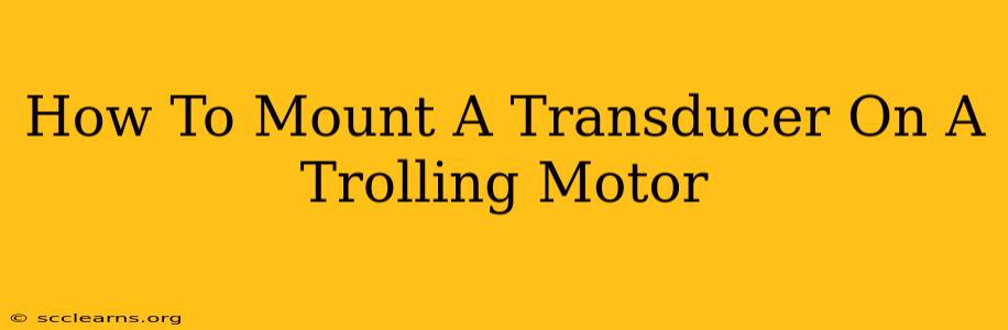 How To Mount A Transducer On A Trolling Motor