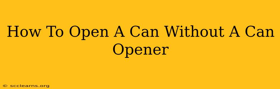 How To Open A Can Without A Can Opener