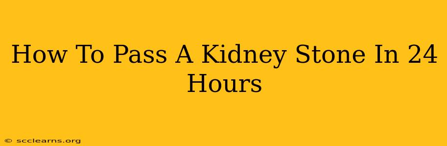 How To Pass A Kidney Stone In 24 Hours