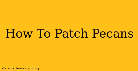 How To Patch Pecans