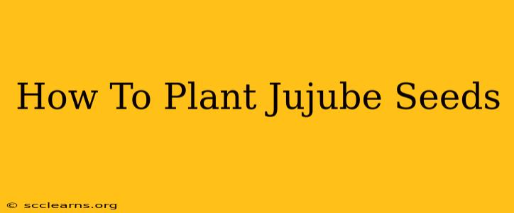 How To Plant Jujube Seeds