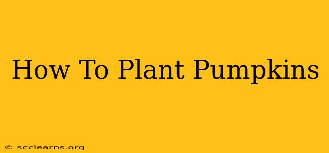 How To Plant Pumpkins