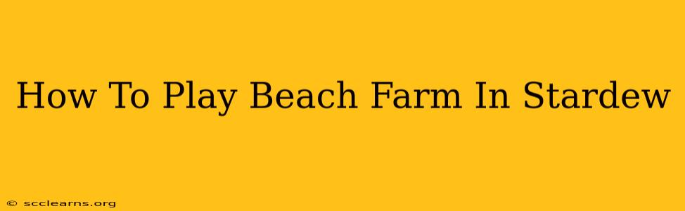 How To Play Beach Farm In Stardew