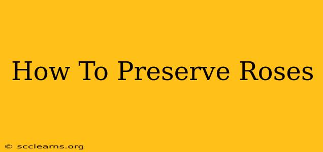 How To Preserve Roses