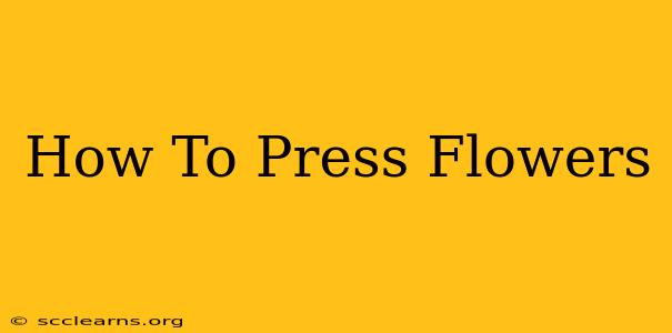 How To Press Flowers