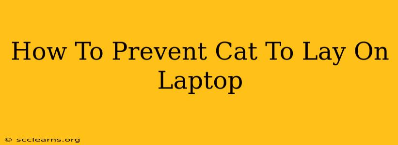 How To Prevent Cat To Lay On Laptop