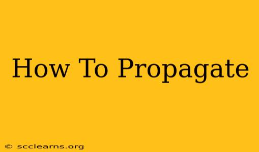 How To Propagate