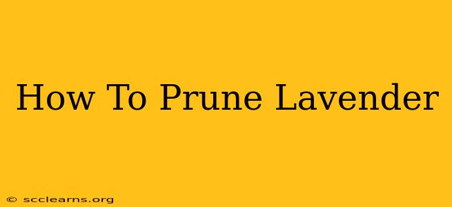 How To Prune Lavender