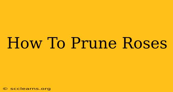 How To Prune Roses